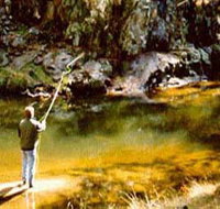 Markdale Homestead - Accommodation 4U