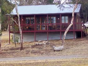 Ivybrook Vineyard Cottage - Accommodation 4U 0