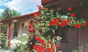 Rose Cottage Bed And Breakfast - Accommodation 4U 0