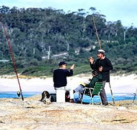 Binalong Bungalows - Accommodation 4U