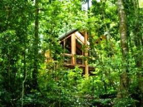 Fur'N'Feathers Rainforest Tree Houses - Accommodation 4U 0