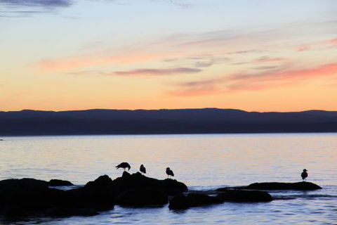 The Blue House Coles Bay - Accommodation 4U 5