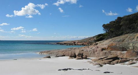 The Blue House Coles Bay - Accommodation 4U 8