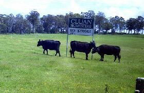 Cluan Homestead - Accommodation 4U 0