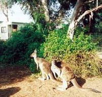 Avoca Dell Caravan Park - Accommodation 4U