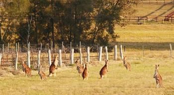 Talga Estate - Accommodation 4U 44
