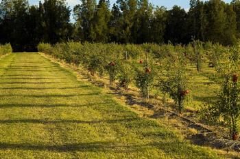 Talga Estate - Accommodation 4U 45