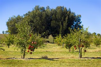 Talga Estate - Accommodation 4U 11