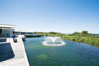 Caves Beachside Hotel - Accommodation 4U 42