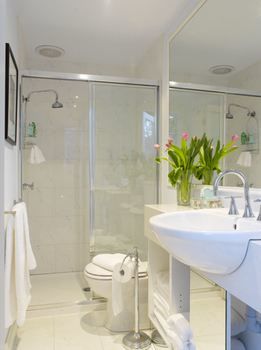 Andre's Mews Luxury Serviced Apartments - Accommodation 4U 24