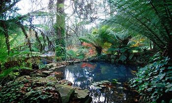 Cottages At Monreale - Accommodation 4U 6