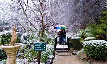 Cottages At Monreale - Accommodation 4U 11