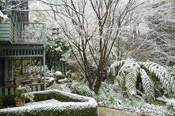 Cottages At Monreale - Accommodation 4U 38