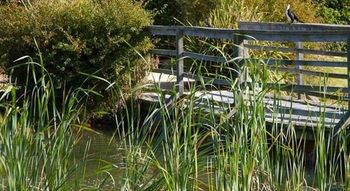 Potters Hotel Brewery Resort - Accommodation 4U 42
