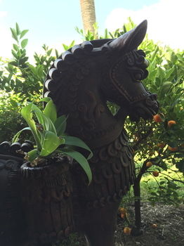 Lilies Luxury Retreats - Accommodation 4U 22
