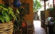 Burwood Bed And Breakfast - thumb 0