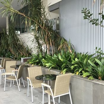 Best Western Premier Hotel 115 Kew - Accommodation 4U 22