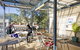 Cambridge Lodge - Hostel/Backpacker - thumb 8