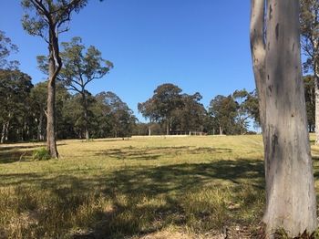 Worrowing At Jervis Bay - Accommodation 4U 81