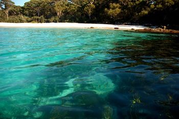 Worrowing At Jervis Bay - Accommodation 4U 98