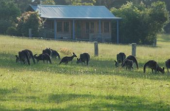 Worrowing At Jervis Bay - Accommodation 4U 31
