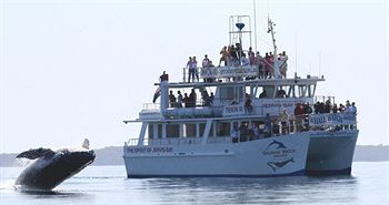 Worrowing At Jervis Bay - Accommodation 4U 32