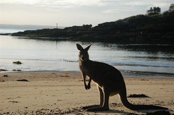 Worrowing At Jervis Bay - Accommodation 4U 35