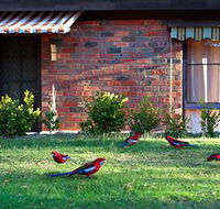 Crimson Villa - Accommodation 4U