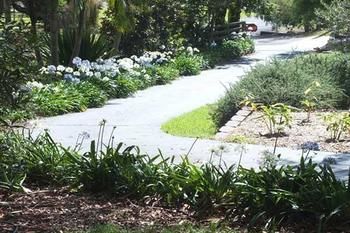 Terrigal Hinterland Bed And Breakfast - Accommodation 4U 10