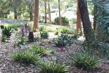 Terrigal Hinterland Bed And Breakfast - Accommodation 4U 20