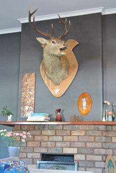 Vine Valley Inn - Accommodation 4U 49