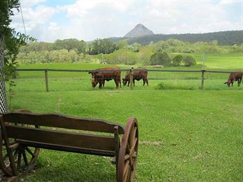 Blackwattle Farm B&B And Farm Stay - Accommodation 4U 1