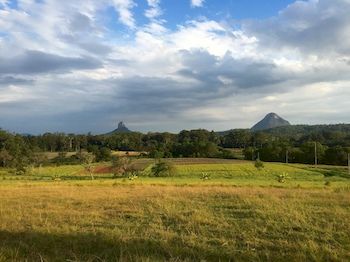 Blackwattle Farm B&B And Farm Stay - Accommodation 4U 3