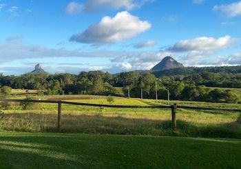 Blackwattle Farm B&B And Farm Stay - Accommodation 4U 7