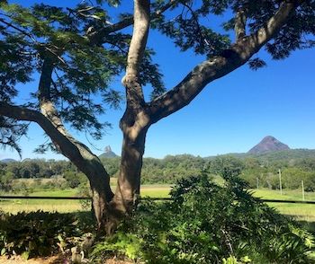 Blackwattle Farm B&B And Farm Stay - Accommodation 4U 9