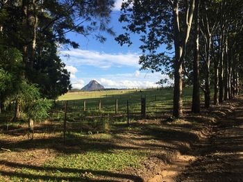 Blackwattle Farm B&B And Farm Stay - Accommodation 4U 12