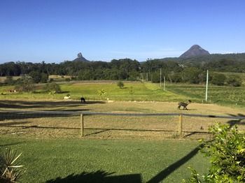 Blackwattle Farm B&B And Farm Stay - Accommodation 4U 29
