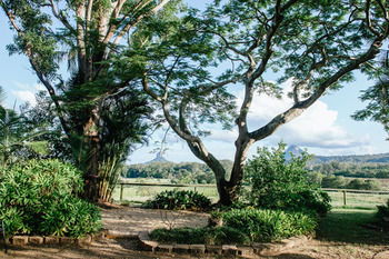 Blackwattle Farm B&B And Farm Stay - Accommodation 4U 45