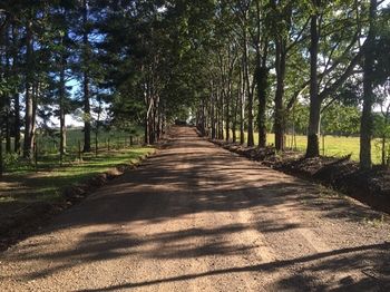 Blackwattle Farm B&B And Farm Stay - Accommodation 4U 46