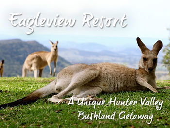 Eagleview Resort - Accommodation 4U 45
