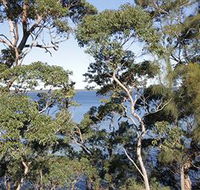 The Edgewater Bed amp Breakfast - Accommodation 4U