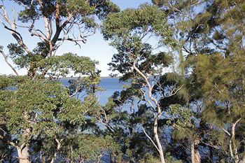 The Edgewater Bed & Breakfast - Accommodation 4U 0