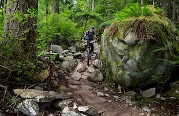 Mountain Element Retreats - Accommodation 4U 9