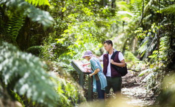 Mountain Element Retreats - Accommodation 4U 10