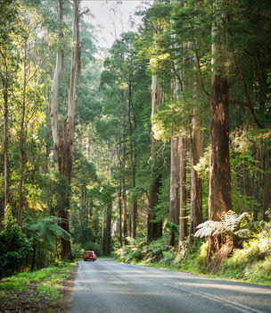 Mountain Element Retreats - Accommodation 4U 15