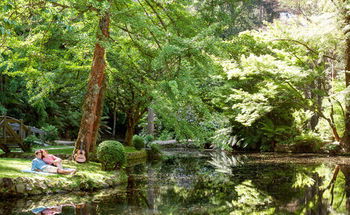 Mountain Element Retreats - Accommodation 4U 17