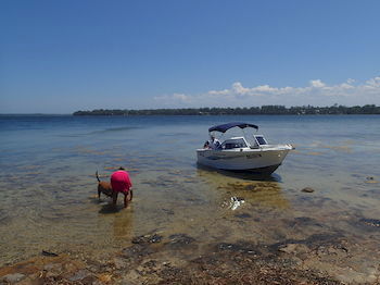 Dungowan Waterfront Apartments - Accommodation 4U 39