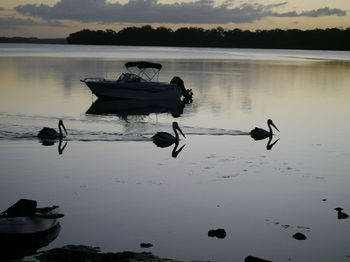 Dungowan Waterfront Apartments - Accommodation 4U 143