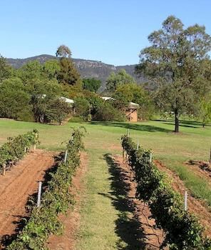 Forrest Hills Ridge - Accommodation 4U 2