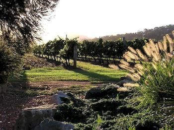 Forrest Hills Ridge - Accommodation 4U 3